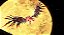 Sonic X Shadow Generations Day One Edition - PS5 - Imagem 7