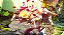Guilty Gear Strive - Nintendo Switch - Imagem 6