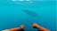 Stranded Deep - Nintendo Switch - Imagem 7