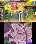 Yo-Kai Watch Blasters: Red Cat Corps - Nintendo 3DS - Imagem 4