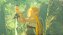 The Legend Of Zelda: Breath Of The Wild - Nintendo Switch 2 - Imagem 6