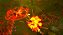 Tiny Troopers Global Ops - PS5 - Imagem 5