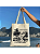Kit C/10 un Atacado EcoBag 100% algodão Estampa Brazil Rio - Imagem 1