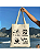 Kit C/5 un Atacado EcoBag 100% algodão Estampa Vivant cat - Imagem 2