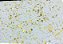 Splendore Gold - Até 10m² - Imagem 1
