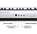 Kit Teclado Musical Kobe KB-150 WE Branco 5/8 61 Teclas Com Capa Vermelha - Imagem 8