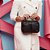 Bolsa Transversal Sestini Capricho Fashion Bags Preto - Imagem 4