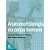 Livro Anatomofisiologia do Corpo Humano - Imagem 1