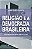 Livro Religiao e a Democracia Brasileira: dos Bancos das Igrejas para as Urnas - Smith - Imagem 1