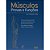 Livro Músculos Provas e Funções - Kendall - Manole - Imagem 1