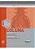 Livro Coluna - Serie Ortopedia Cirurgica Sbot - Sbot - Imagem 1