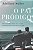 Livro Pai Prodigo, o - Uma Historia Real sobre o Amor Incondicional entre Pais E - Salles - Imagem 1