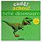 Livro Cade  Achou! Bebe Dinossauro - Lloyd - Imagem 1