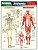 Livro Resumão Anatomia - Perez - Imagem 1