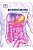 Livro Sic Gastroenterologia Vol 1 2014 - Medcel - Imagem 1