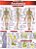 Livro Anatomia Resumao - Barros - Imagem 1