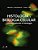 Livro Histologia e Biologia Celular: Uma Introdução a Patologia  Kierszenbaum - Imagem 1
