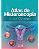 Livro Atlas de Histeroscopia  Gomes - Imagem 1