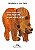 Livro Urso Marrom, Urso Marrom, o que Você vê Lá? - Imagem 1