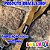 Guia Premium Love My Dog Luleko - Dourada - Imagem 9