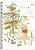 Caderno  Colegial Tilibra 1M - Pooh - Imagem 1
