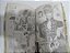 Mangá Wanted Vol. Único, Autora Hino Matsuri (Em Português) + 1 Brinde - Imagem 7