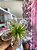 Presilha flor (Hair Clip Flowers) cor aleatoria - Imagem 6