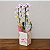 Orquídea Phalaenopsis Branca Duas Hastes - Imagem 1