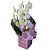 Orquídea Phalaenopsis Branca Duas Hastes - Imagem 1