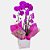Orquídea Phalaenopsis Duas Hastes Cor-de-rosa - Imagem 2