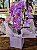 Orquídea Phalaenopsis Duas Hastes Cor-de-rosa - Imagem 1