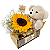 Kit Castro Daire - Imagem 1