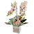 Orquídea Phalaenopsis Branca - Imagem 1