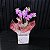 Mini Orquídea Phalaenopsis - Imagem 3