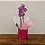 Mini Orquídea Phalaenopsis - Imagem 1