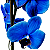 Orquídea Phalaenopsis Azul - Imagem 2