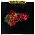 Buquê Mini Volcania - 6 Rosas IMPORTADAS - Imagem 1