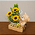 Kit Solon - Imagem 1