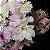 Buquê Maya - Astromelias e Flores do Campo - Imagem 5