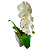 Orquídea Phalaenopsis Branca - Vaso de Vidro - Imagem 3