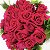 Buquê Carnot - 20 Rosas Nacionais - Imagem 4
