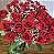 Arranjo Rougelle - 24 Rosas Nacionais - Imagem 3