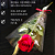 10 Rosas Individuais Vermelhas - Imagem 2
