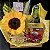 Kit Aurum - Imagem 3