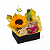 Kit Aurum - Imagem 1