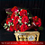 Kit Delavie - 9 Rosas IMPORTADAS + Ferrero Rocher 100g - Imagem 2