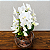 Orquídea Phalaenopsis Cascata em Aquário - Imagem 2