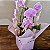 Orquídea Phalaenopsis Cascata 2 Hastes - Rosa e Branca - Imagem 2