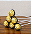 ADICIONAL - Ferrero Rocher na Vareta (unidade) - Imagem 1