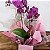 Orquídea Phalaenopsis Roxa - Imagem 2